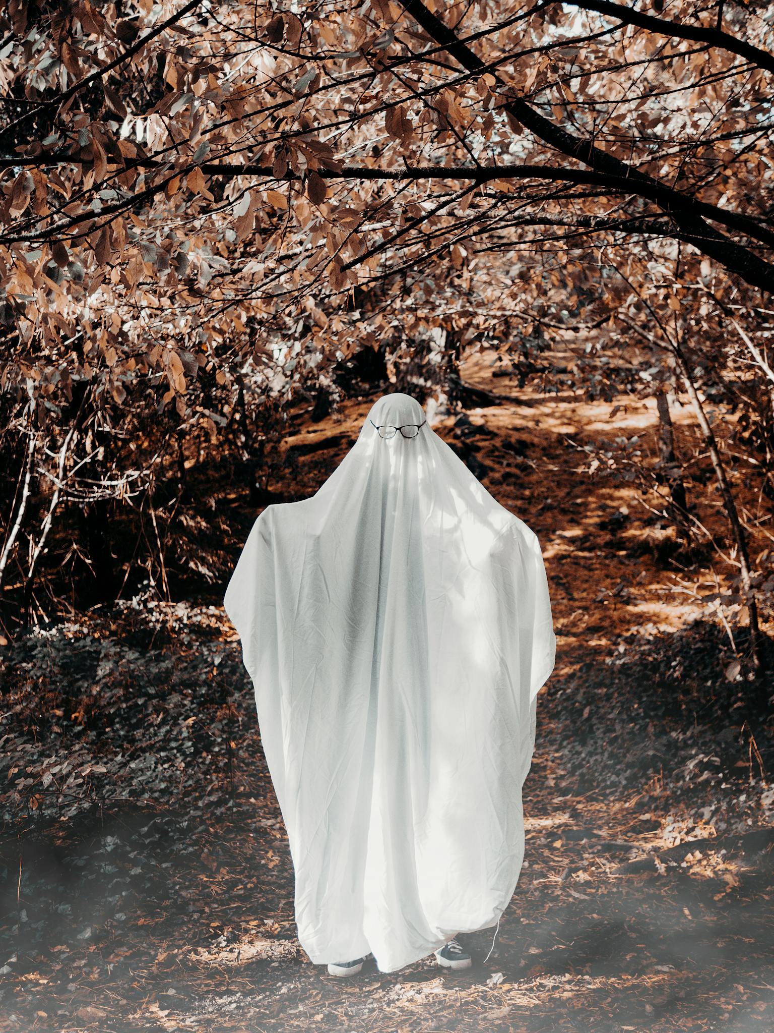 A ghostlike figure in a sheet costume walks through a fall forest path, embodying Halloween spirit.